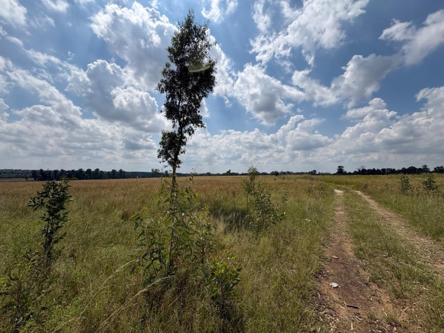 0 Bedroom Property for Sale in Vaalpark Free State